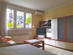 Apartment Roko